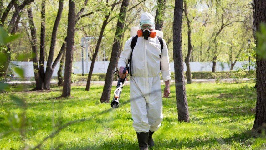 Уничтожение комаров в Комсомольске-на-Амуре